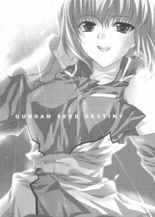 (CR37) [FANTASY WIND (Shinano Yura)] L-S (Kidou Senshi Gundam Seed Destiny) [English] [SaHa] - page 2