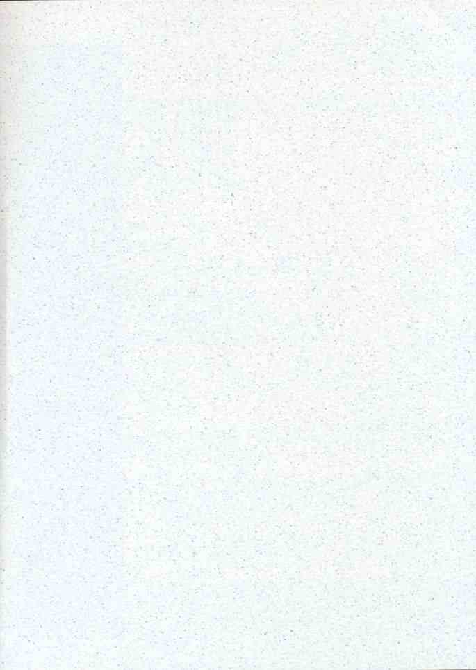 (C60) [BLUE GARNET (Serizawa Katsumi)] GIIII (Love Hina) page 45 full