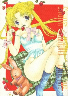 (C51) [Sailor Q2 (Ryö)] SFW Sailor Q2 Fuckin' Works (Bishoujo Senshi Sailor Moon)