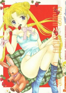 (C51) [Sailor Q2 (Ryö)] SFW Sailor Q2 Fuckin' Works (Bishoujo Senshi Sailor Moon) - page 2