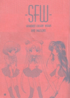 (C51) [Sailor Q2 (Ryö)] SFW Sailor Q2 Fuckin' Works (Bishoujo Senshi Sailor Moon) - page 3