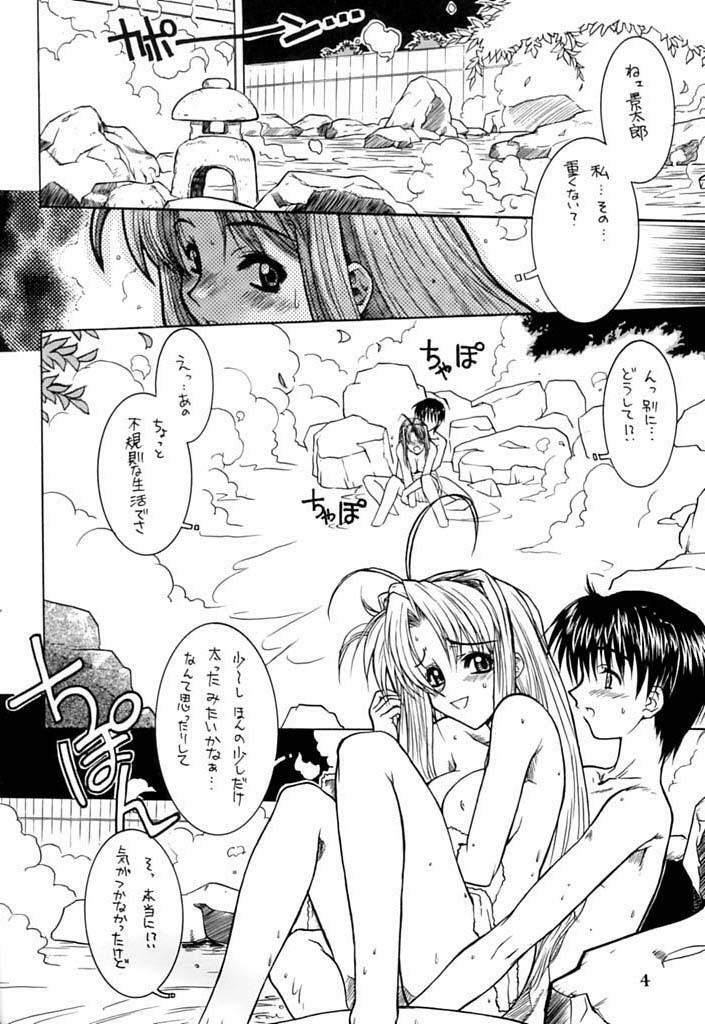 (C58) [Dennou Denpa Hatsureisho (Harukaze Koucha)] Nangoku Shuka (Love Hina) page 5 full