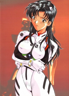 (C53) [Studio Kouroumu (Katase Shou)] Katase Seiyaku Ebaferumin (Neon Genesis Evangelion) - page 20