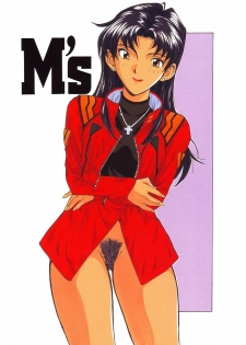 (C53) [Studio Kouroumu (Katase Shou)] Katase Seiyaku Ebaferumin (Neon Genesis Evangelion) - page 3