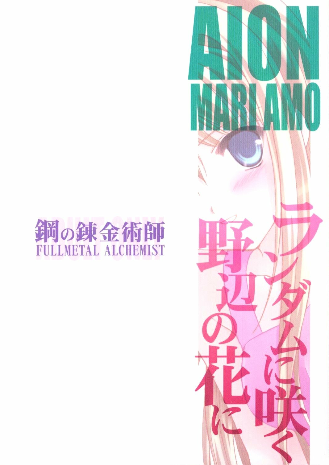 (C65) [Aion (Amou Mari)] Random Ni Saku Nobe No Hana Ni (Full Metal Alchemist) page 30 full
