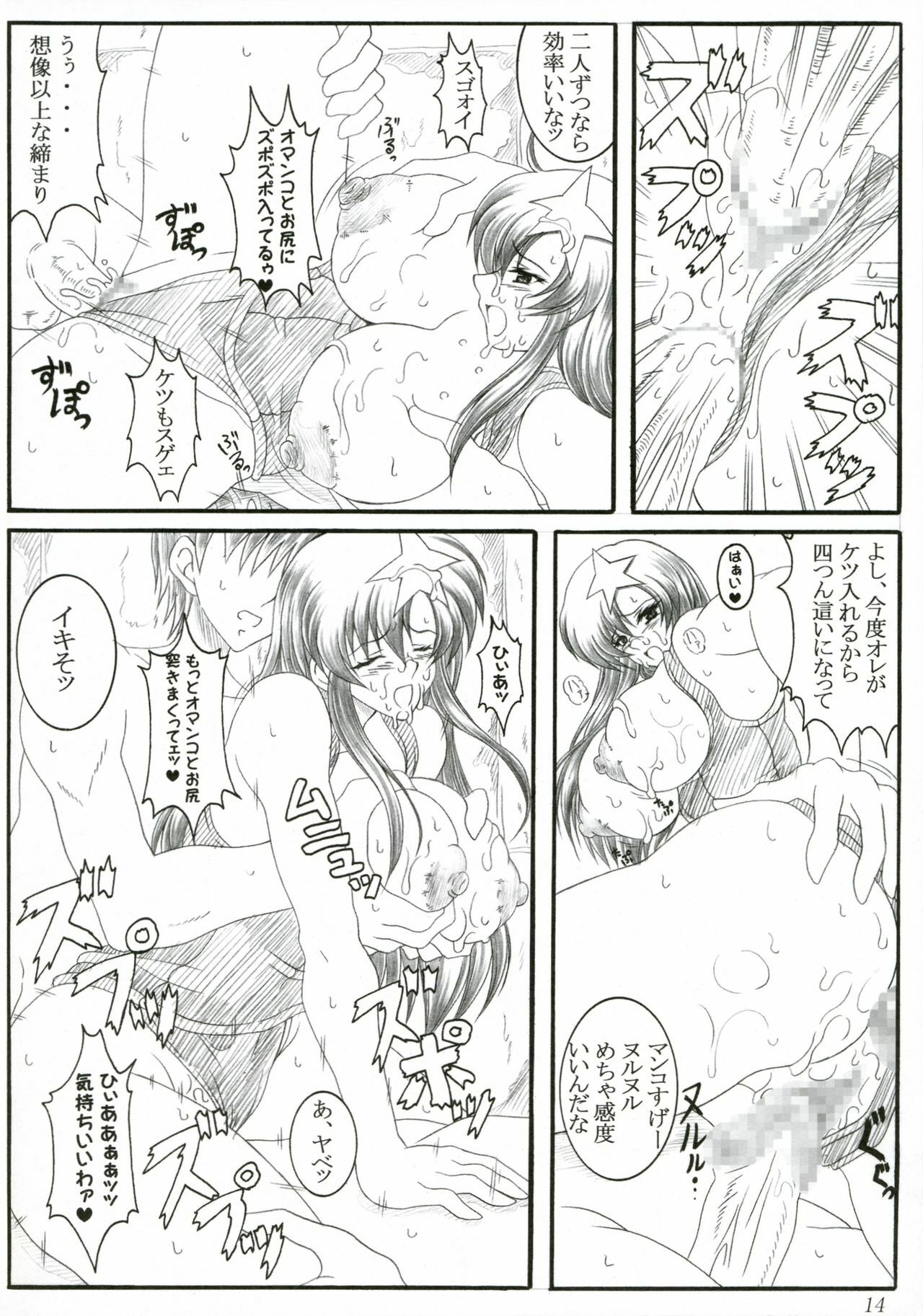 (SC29) [INSERT (KEN)] Meer (Gundam SEED DESTINY) page 13 full