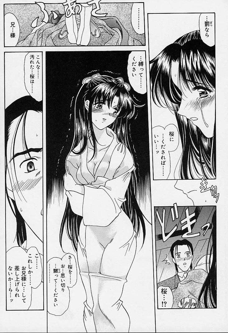 [Amayumi] sakura sakura page 190 full