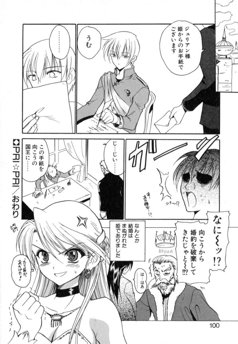 [Hirokawa Tomo] Puripanyu Z page 106 full