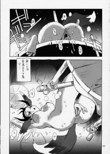 (C58) [No-Zui Magic & No-No's (Various)] Nouzui Kashou (Various) - page 24