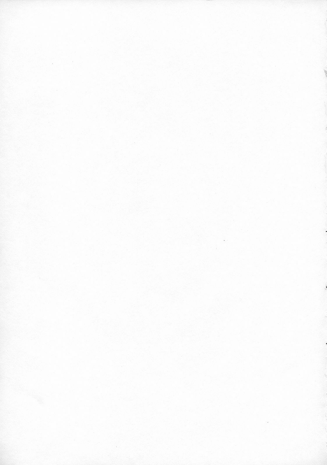 (CR36) [Celluloid-Acme (Chiba Toshirou)] Spitfire (Black Lagoon) page 2 full