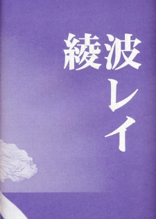 (C50) [Rocket Kyoudai (Various)] BANDAGE-00 Vol. 2 (Neon Genesis Evangelion) - page 3