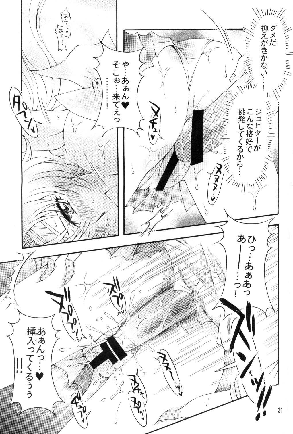 [Kotori Jimusho (Sakura Bunchou)] Seiyoru no Daishou (Sailor Moon) page 30 full