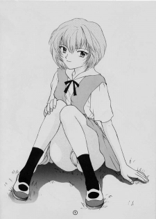 [Panic Attack In Sailor Q2 (RYÖ)] BRAND NEW SEASON (Neon Genesis Evangelion) - page 2