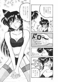 (C63) [Studio Boxer (Various)] HOHETO 26 (Detective Conan) - page 38