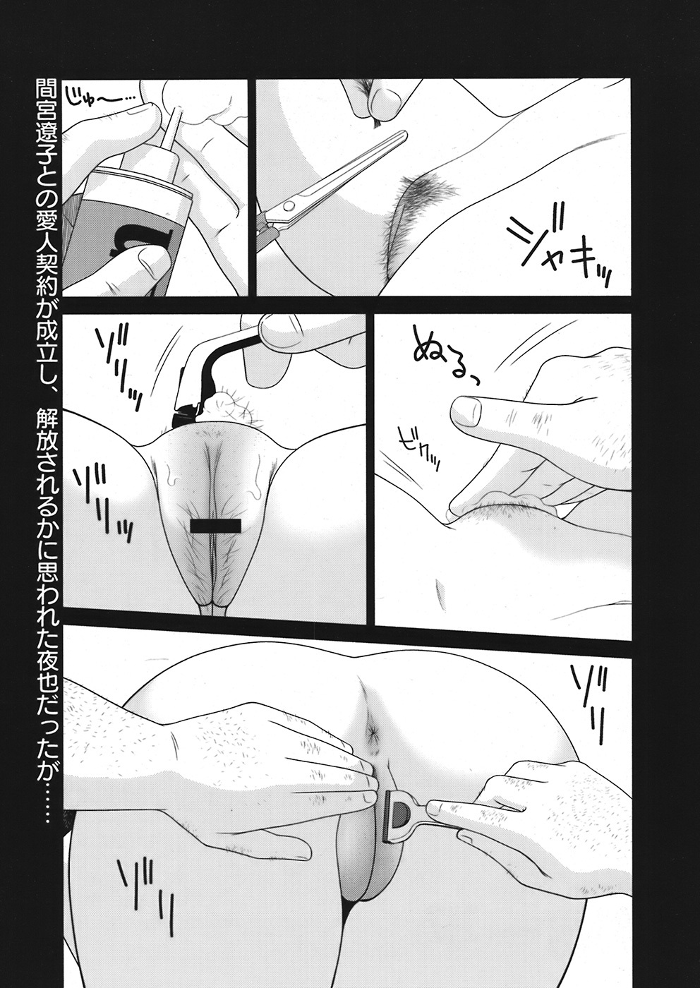 COMIC Mega GOLD 2008-05 Vol. 06 page 309 full