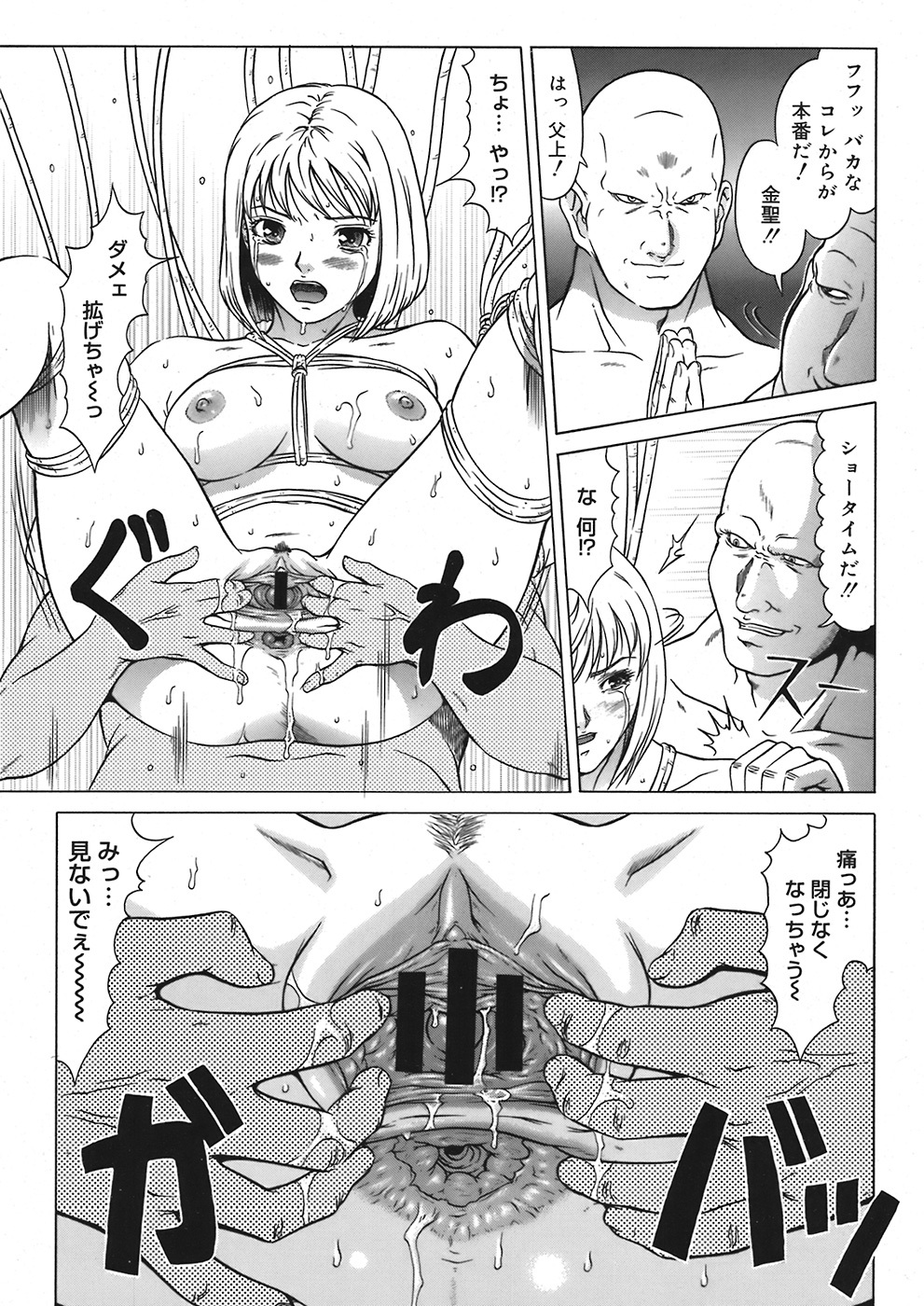 COMIC Mega GOLD 2008-05 Vol. 06 page 73 full