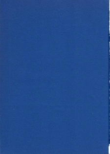 (C51) [Chimatsuriya Honpo (Various)] FSB (Neon Genesis Evangelion) - page 2