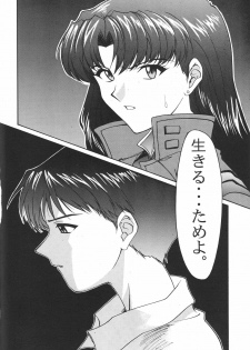 (C51) [Chimatsuriya Honpo (Various)] FSB (Neon Genesis Evangelion) - page 39