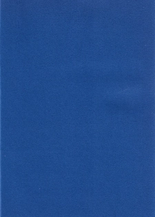 (C51) [Chimatsuriya Honpo (Various)] FSB (Neon Genesis Evangelion) - page 3