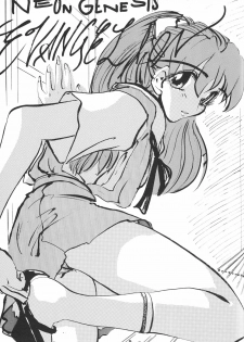 (C51) [Chimatsuriya Honpo (Various)] FSB (Neon Genesis Evangelion) - page 46