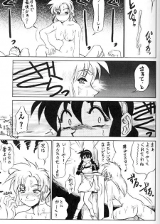 [Cobanzame (Koshow Showshow)] Koshouchuu 3 (Ruin Explorers) - page 14