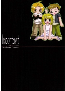 (SC23) [Yukimi Honpo (Asano Yukino)] Important (Fullmetal Alchemist) - page 28