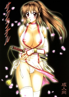 (C70) [Hanamaru Mugen Gym (Hyoujun Mai)] Sakura Chiru (Dead or Alive)