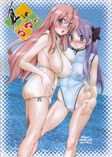(C72) [Hi-PER PINCH (clover)] Natsu in Summer (Lucky Star)
