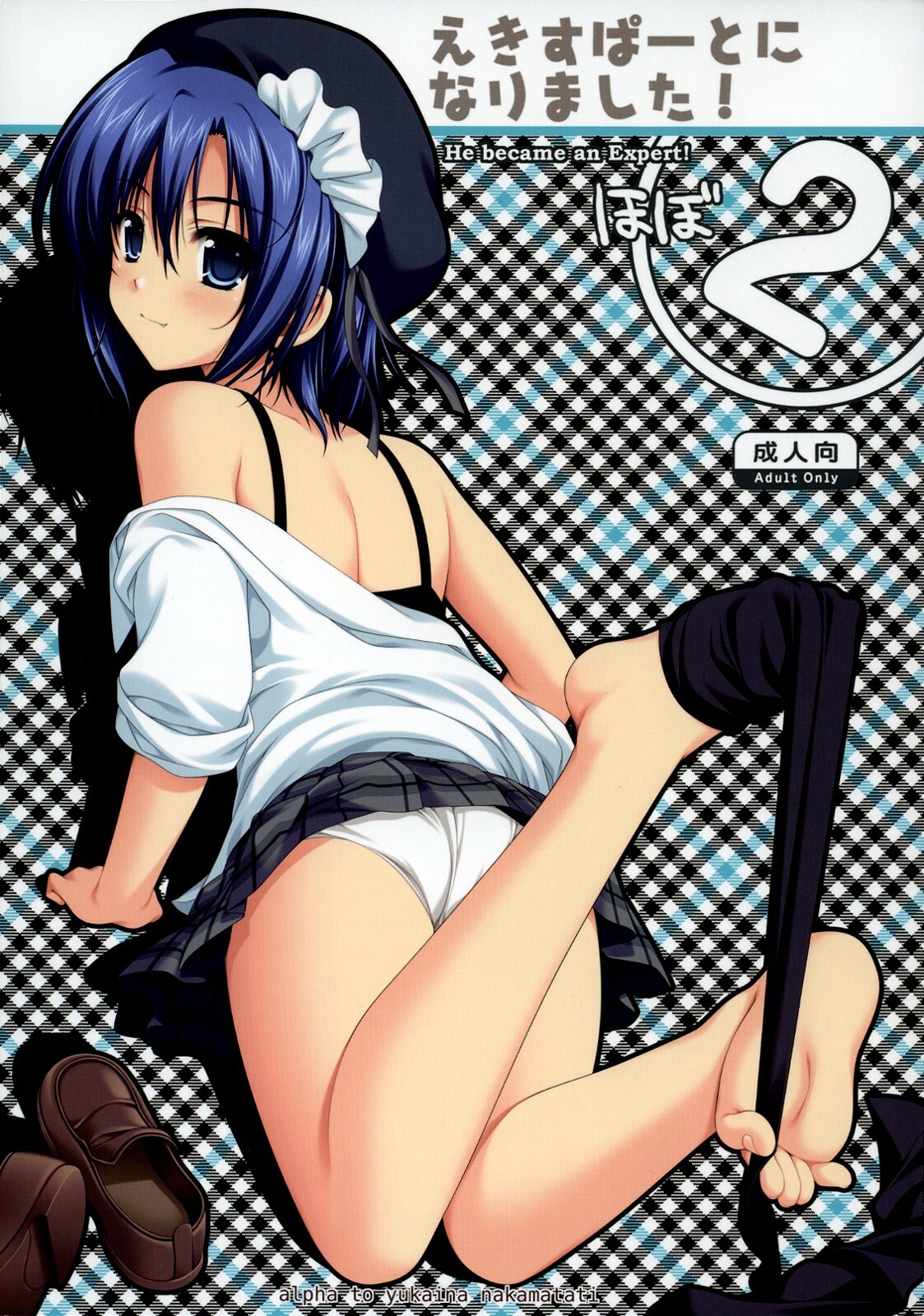 (C74) [Alpha to Yukaina Nakamatachi (Alpha)] Expert ni Narimashita! Hobo 2 page 1 full