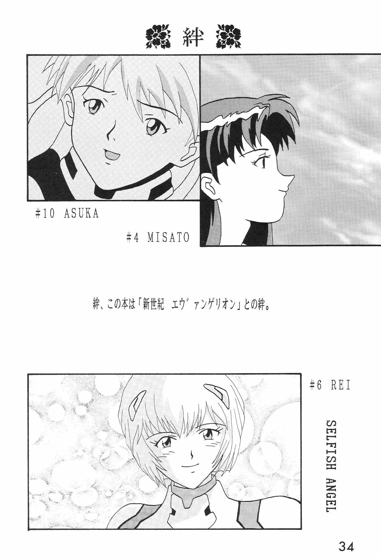 (C50) [System Speculation (Imai Youki, Kiyumi Miyuki)] SELFISH ANGEL (Neon Genesis Evangelion) page 35 full