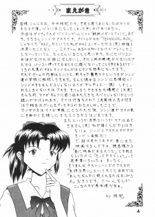 (C53) [System Speculation (Imai Youki)] TECHNICAL MAC 1 (Neon Genesis Evangelion) - page 3