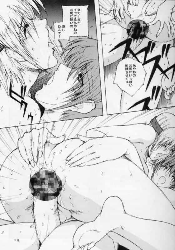 (C61) [Shibarism (Shibari Kana)] DA +PLUS (Dead or Alive) page 14 full
