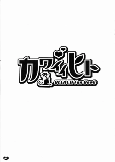 [Todd Special (Todd Oyamada)] Kawaii Hito | Cute Person (Bleach) [English] [SaHa] - page 2