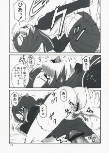 (C73)[Oretachi Misnon Ikka (Misnon the Great)] Mai-KAN 2 (Mai-HiME) - page 12