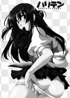 (CR35) [AKABEi SOFT (Alpha)] HariTen - Harima & Tenma (School Rumble) - page 4