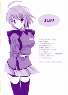 (SC34) [ARESTICA (Ariko Youichi)] Nemurenai Yoru wa Nemurenai Yume o (Mobile Suit Gundam SEED DESTINY) - page 3