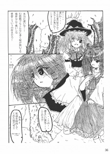 (CR35) [LemonMaiden (Various)] Oukasai ～ Cherry Point MAX (Touhou Project) - page 39