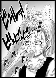 [Miracle Ponchi Matsuri (Basara)] DRAGON ROAD 2 (Dragon Ball Z) - page 15