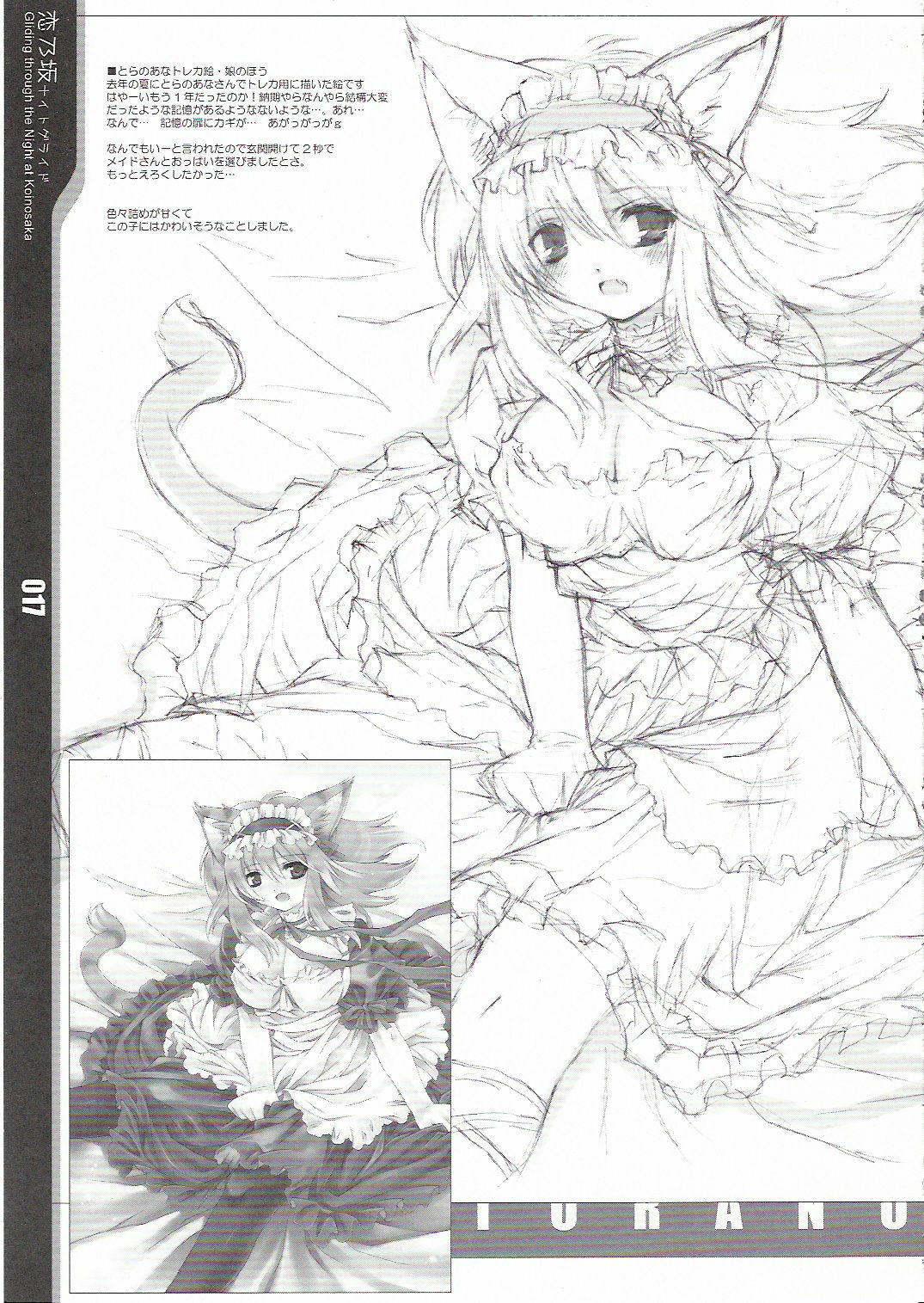(C70) [Douganebuibui (Aburidashi Zakuro)] Koinosaka Night Glide - Gliding through the Night at Koinosaka (Touhou Project) page 17 full