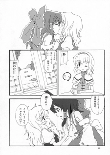 (C72) [Vitamin Gohan (Hasegawa Keita)] Motto! Gohan o Tabete ii Hi (Touhou Project) - page 29