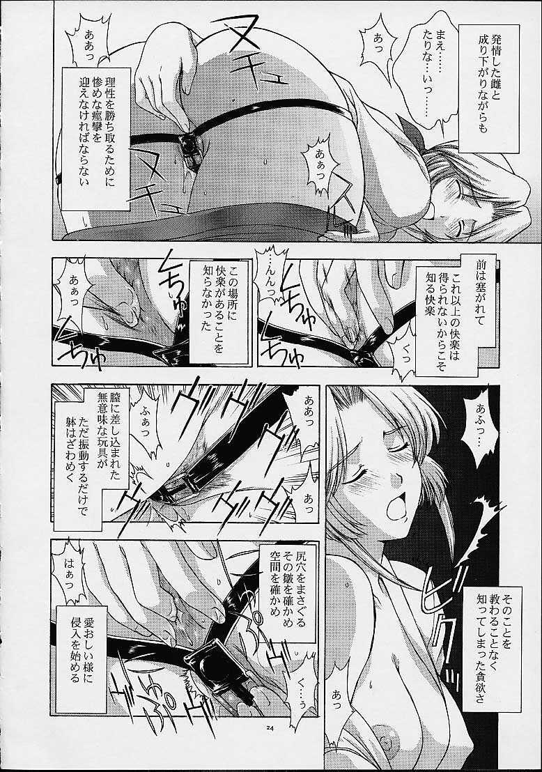 (C61) [Secret Society M (Kitahara Aki)] Utahime no shouzou 2 (Dead or Alive) page 23 full