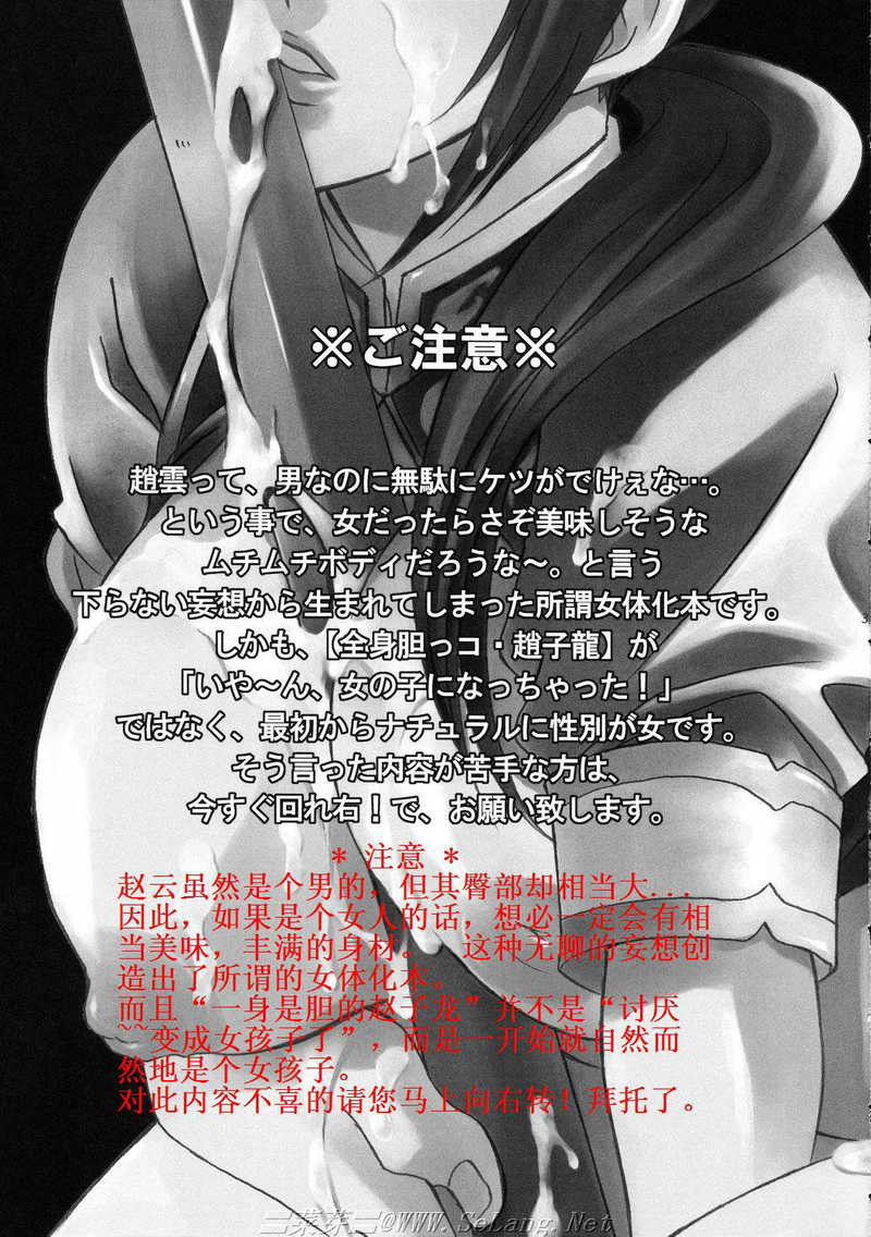 (C69) [Dark Water (Mikuni Saho, Tatsuse Yumino)] Seiryuu Ranbu 3 (Dynasty Warriors) [Chinese] page 2 full