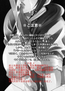 (C69) [Dark Water (Mikuni Saho, Tatsuse Yumino)] Seiryuu Ranbu 3 (Dynasty Warriors) [Chinese] - page 2