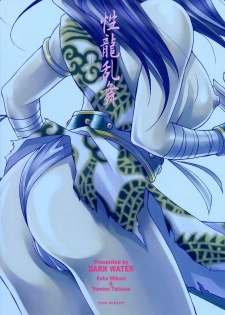 (C67) [Dark Water (Mikuni Saho, Tatsuse Yumino)] Seiryuu Ranbu (Dynasty Warriors) - page 2