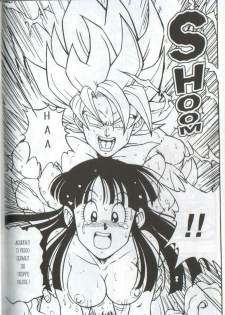 [Rehabilitation (Garland)] DRAGONBALL H Bessatsu Soushuuhen (Dragon Ball) [Italian] [Incomplete] - page 14