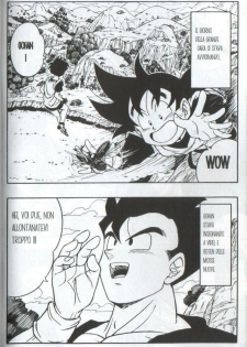 [Rehabilitation (Garland)] DRAGONBALL H Bessatsu Soushuuhen (Dragon Ball) [Italian] [Incomplete] - page 22