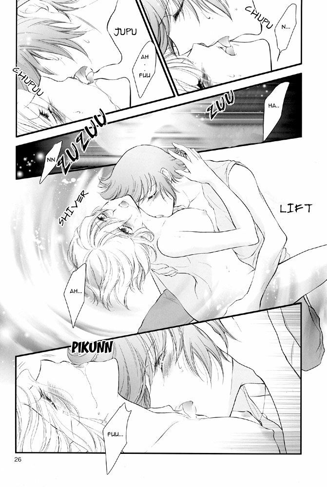 (SUPER14) [RIX (Mamiya Tsukiko)] Sabishigariya no Kodomo-tachi - Children of Loneliness (Gundam SEED Destiny) [English] [Doki Doki] page 26 full