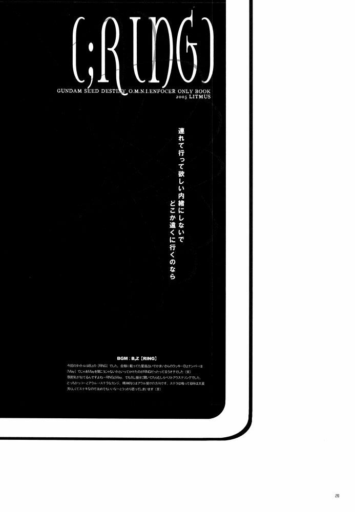 [Ritomasu] Ring (Gundam SEED Destiny) [English] page 18 full