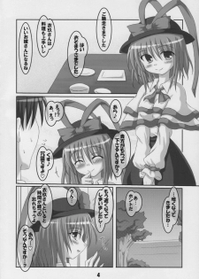 (C74) [Schwester (Shirau Inasaki) Rollin 29 (Touhou Project) - page 3