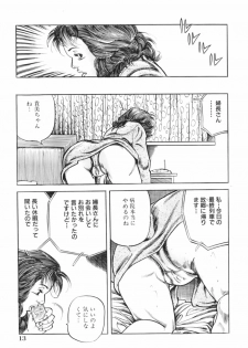 [Misawa Shin] Shakkin Zuma Niku Hensai - page 16